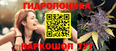 гашик Апрелевка