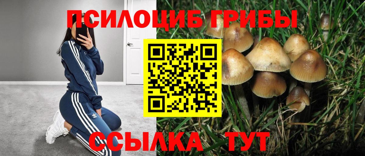 Псилоцибиновые грибы мухоморы Асбест