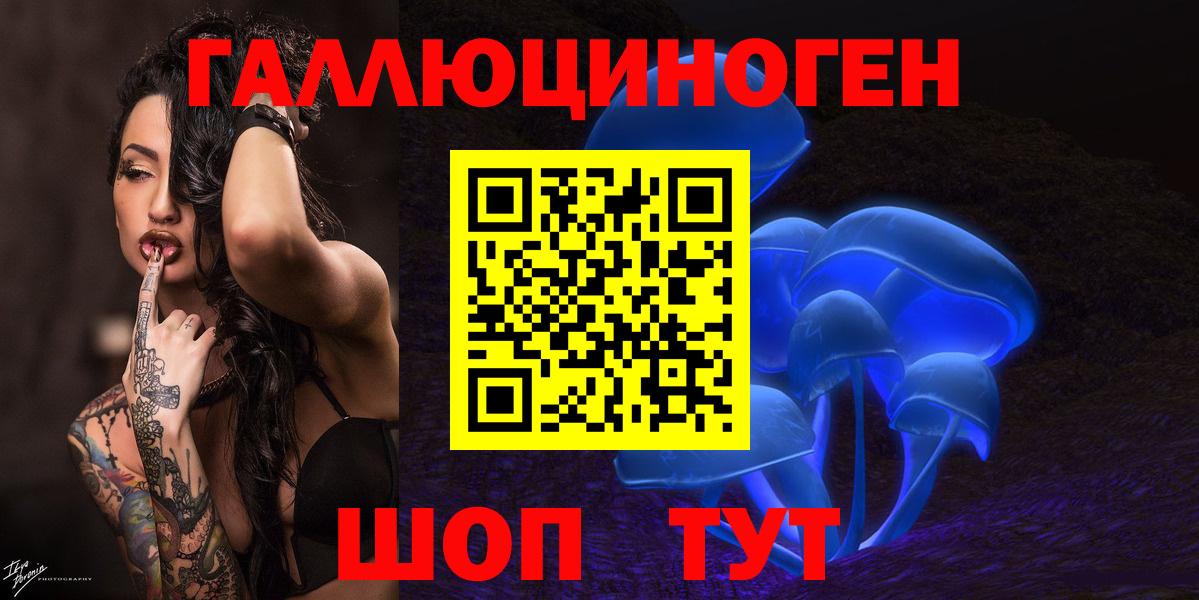 Псилоцибиновые грибы Psilocybe  Вход с VPN  Асбест 